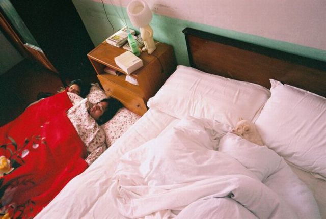 morning picdump 73 pics 5.html - 73 HD Photos | Premium Gallery 2011