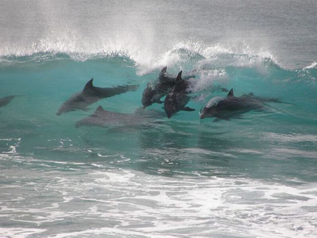 morning picdump 64 pics 24.html - 64 HD Photos | Premium Gallery 2011