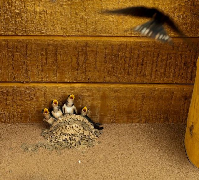 morning picdump 64 pics 24.html - 64 HD Photos | Premium Gallery 2011