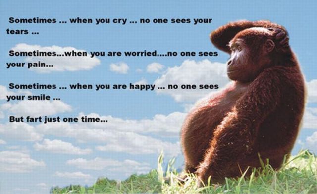 morning picdump 64 pics 24.html - 64 HD Photos | Premium Gallery 2011