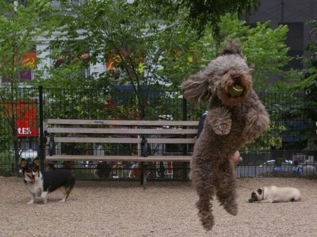 morning picdump 64 pics 24.html - 64 HD Photos | Premium Gallery 2011