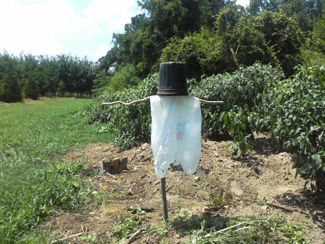 morning picdump 63 pics 30.html - 63 HD Photos | Premium Gallery 2011