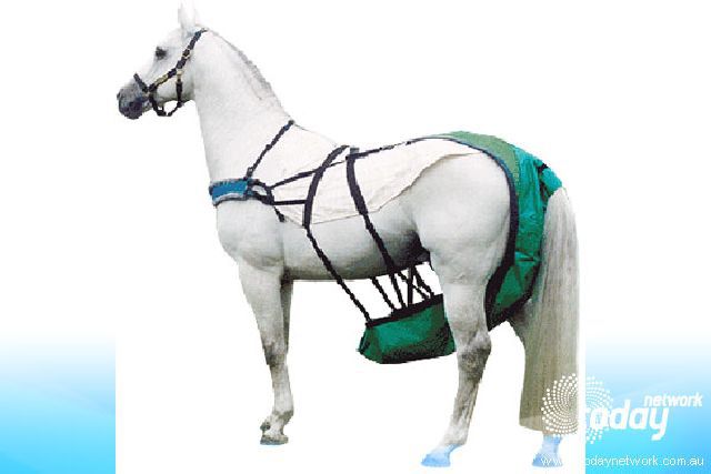 daily picdump weekend edition 78 pics 15.html - 78 HD Photos | Premium Gallery 2011