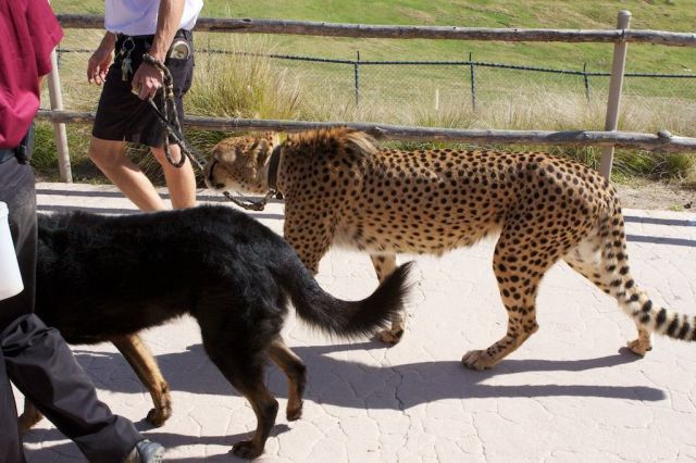 daily picdump weekend edition 78 pics 15.html - 78 HD Photos | Premium Gallery 2011