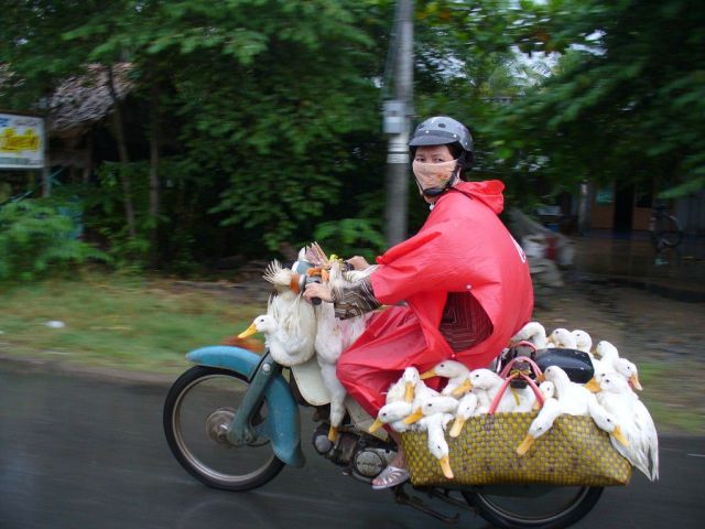 daily picdump weekend edition 78 pics 15.html - 78 HD Photos | Premium Gallery 2011