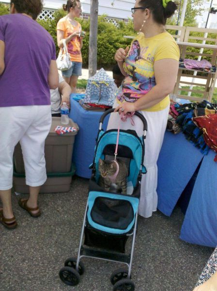 daily picdump weekend edition 78 pics 15.html - 78 HD Photos | Premium Gallery 2011