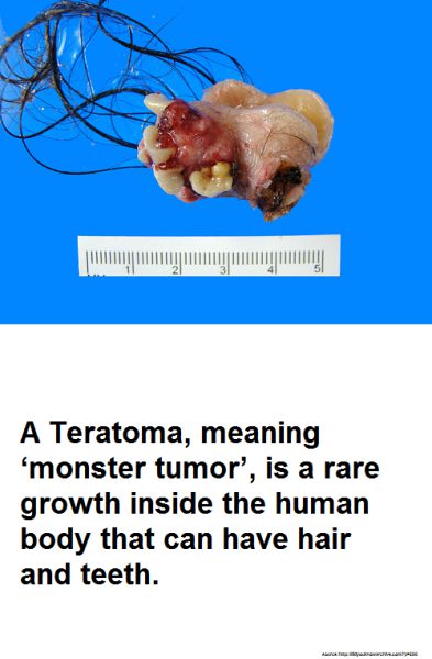 morning picdump 70 pics 21.html - 70 HD Photos | Premium Gallery 2011