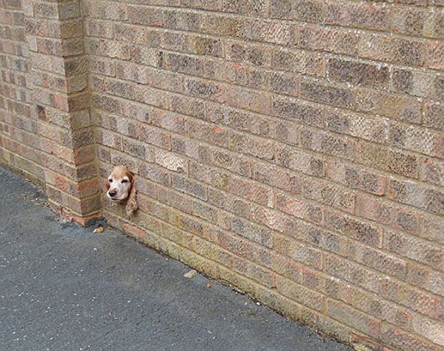 morning picdump 70 pics 21.html - 70 HD Photos | Premium Gallery 2011