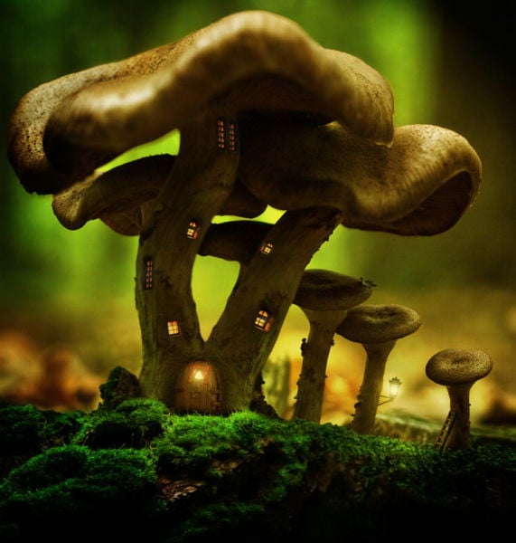 morning picdump 70 pics 21.html - 70 HD Photos | Premium Gallery 2011