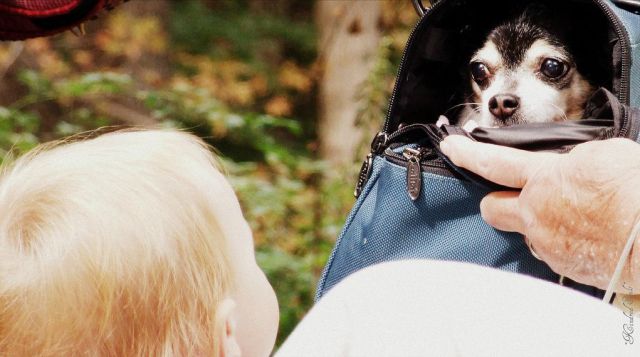 morning picdump 70 pics 21.html - 70 HD Photos | Premium Gallery 2011