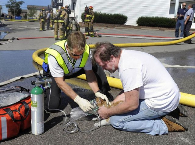 morning picdump 70 pics 21.html - 70 HD Photos | Premium Gallery 2011