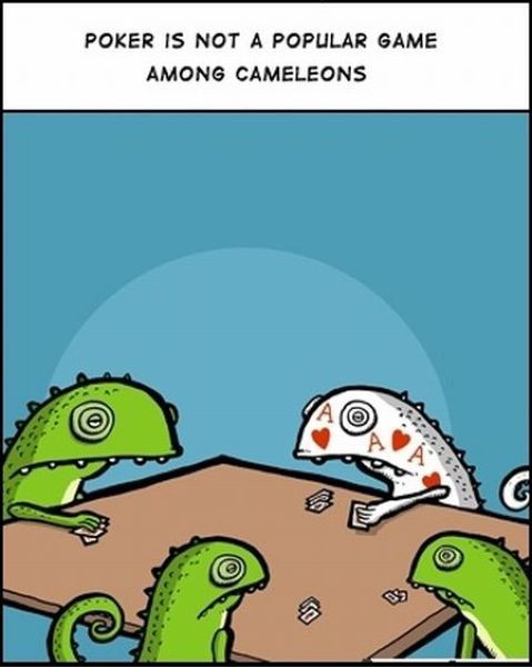 morning picdump 72 pics 36.html - 72 HD Photos | Premium Gallery 2011