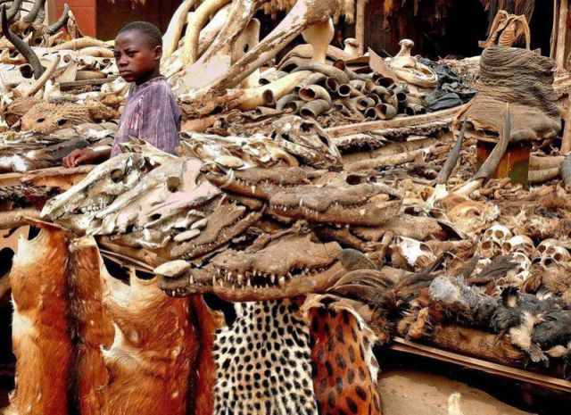 morning picdump 72 pics 36.html - 72 HD Photos | Premium Gallery 2011