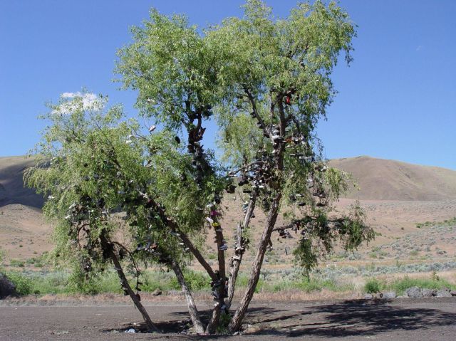 morning picdump 72 pics 36.html - 72 HD Photos | Premium Gallery 2011