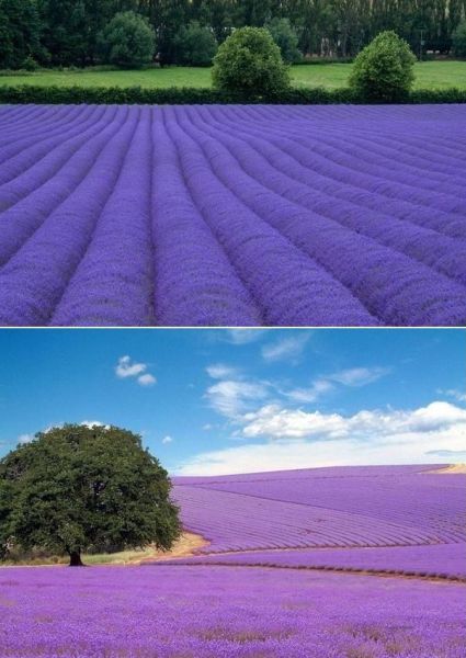 morning picdump 55 pics 1.html - 55 HD Photos | Premium Gallery 2011