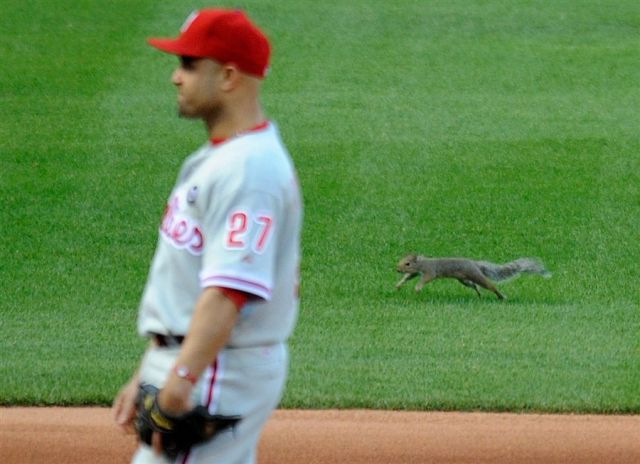 morning picdump 55 pics 1.html - 55 HD Photos | Premium Gallery 2011