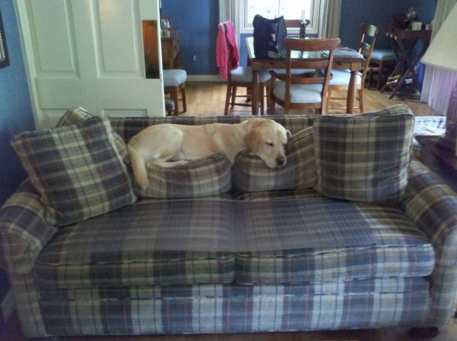 morning picdump 55 pics 1.html - 55 HD Photos | Premium Gallery 2011