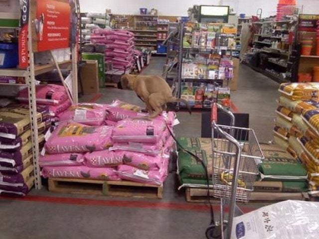 morning picdump 69 pics 19.html - 69 HD Photos | Premium Gallery 2011