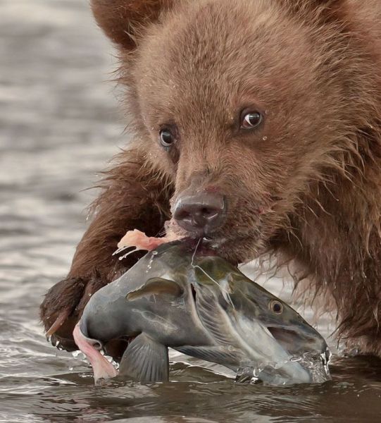 morning picdump 69 pics 19.html - 69 HD Photos | Premium Gallery 2011