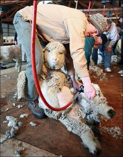 daily picdump 88 pics 22.html - 88 HD Photos | Premium Gallery 2011