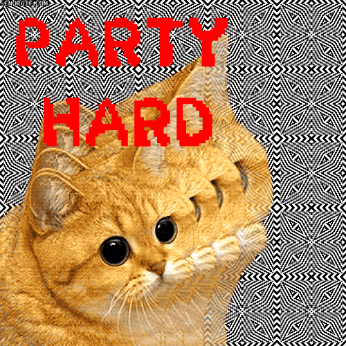 Hilarious Drunk and Wasted People