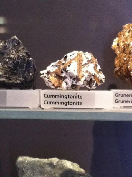 morning picdump 58 pics 9.html - 58 HD Photos | Premium Gallery 2011