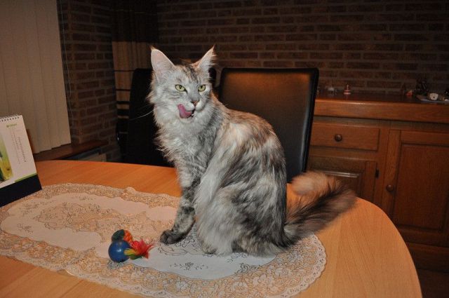 morning picdump 58 pics 9.html - 58 HD Photos | Premium Gallery 2011