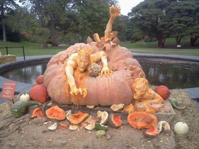 morning picdump 58 pics 9.html - 58 HD Photos | Premium Gallery 2011