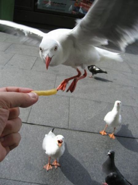 daily picdump 79 pics 1.html - 79 HD Photos | Premium Gallery 2011