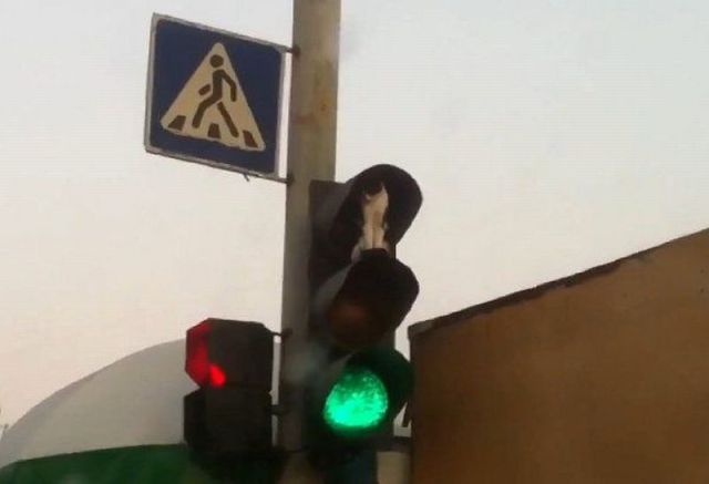 daily picdump 79 pics 1.html - 79 HD Photos | Premium Gallery 2011