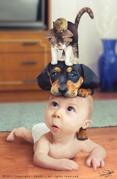 Morning Picdump