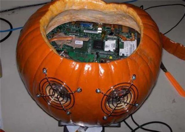 morning picdump 60 pics 9.html - 60 HD Photos | Premium Gallery 2011