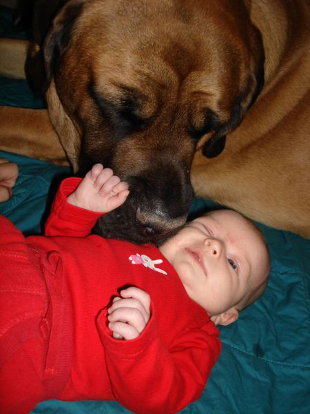 morning picdump 60 pics 9.html - 60 HD Photos | Premium Gallery 2011