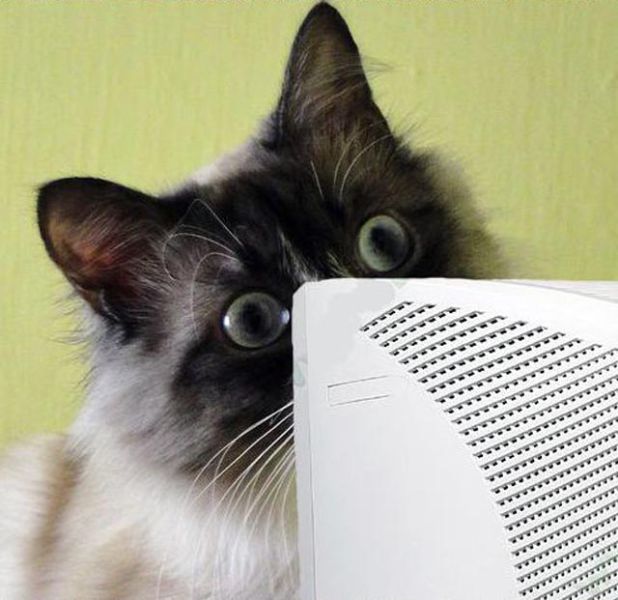 Funny Comic Strip for Adults