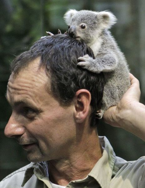 daily picdump 100 pics 2.html - 100 HD Photos | Premium Gallery 2011