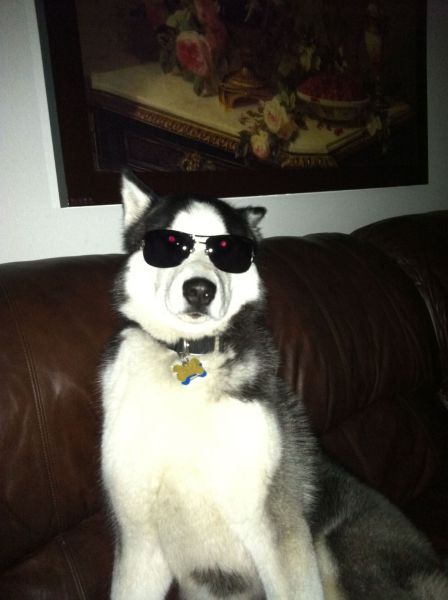 daily picdump 100 pics 2.html - 100 HD Photos | Premium Gallery 2011
