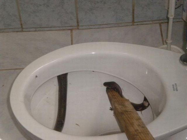 morning picdump 58 pics 7.html - 58 HD Photos | Premium Gallery 2012