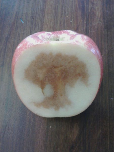 morning picdump 57 pics 9.html - 57 HD Photos | Premium Gallery 2012