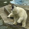 africa is unique 30 pics.html - 30 HD Photos | Premium Gallery 2012