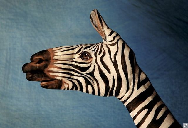 morning picdump 57 pics 2.html - 57 HD Photos | Premium Gallery 2012