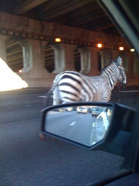 morning picdump 57 pics 2.html - 57 HD Photos | Premium Gallery 2012