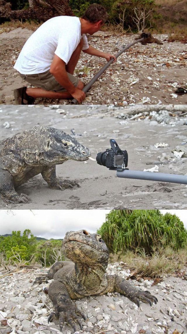 morning picdump 57 pics 2.html - 57 HD Photos | Premium Gallery 2012