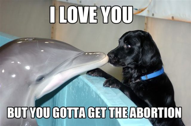 Funny Word and Pic Combos
