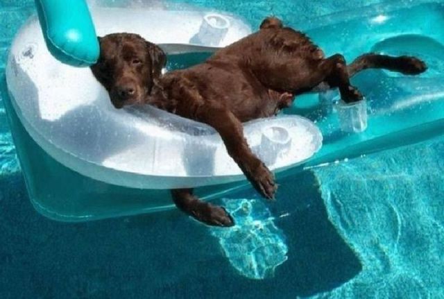 Morning Picdump