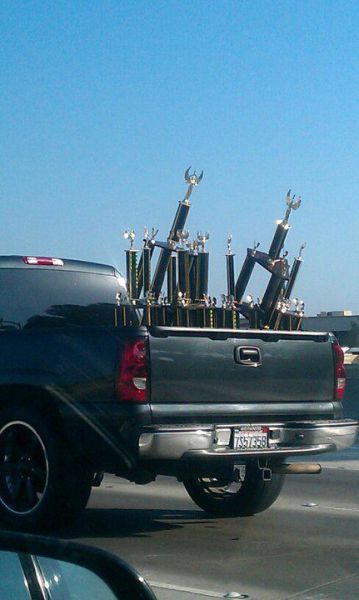 Morning Picdump