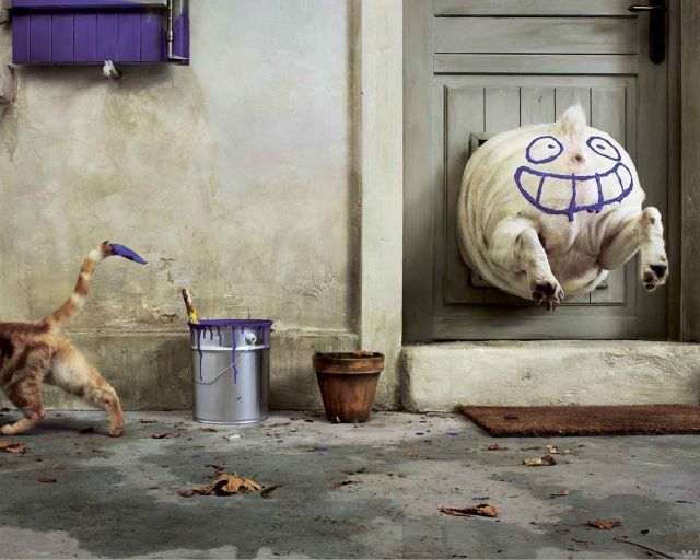 morning picdump 59 pics 3.html - 59 HD Photos | Premium Gallery 2012