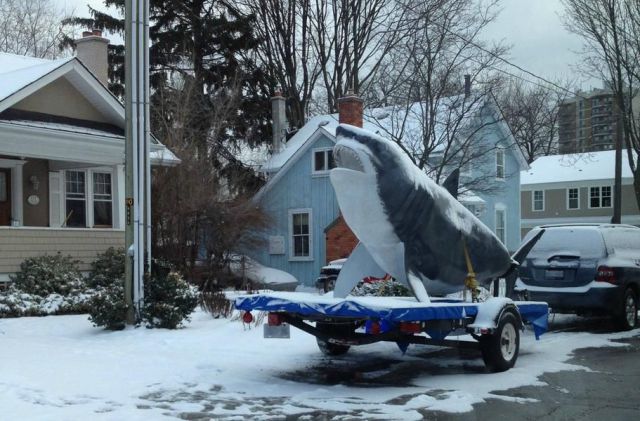 morning picdump 57 pics 5.html - 57 HD Photos | Premium Gallery 2012