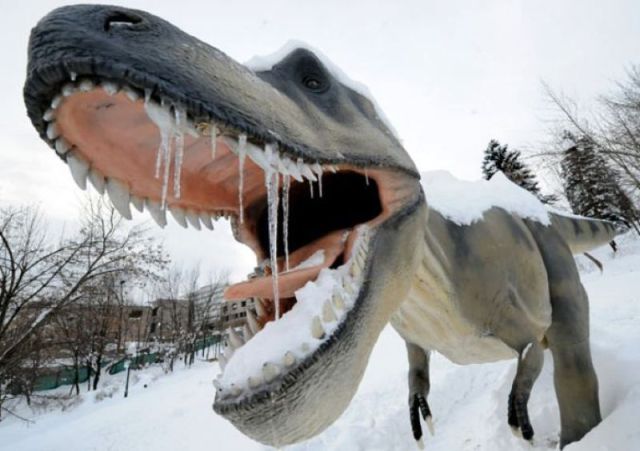 morning picdump 53 pics 27.html - 53 HD Photos | Premium Gallery 2012