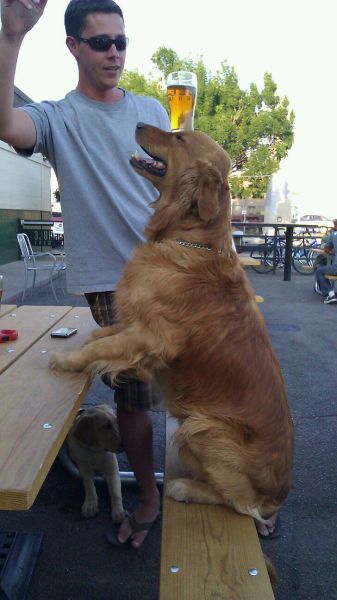 morning picdump 53 pics 27.html - 53 HD Photos | Premium Gallery 2012