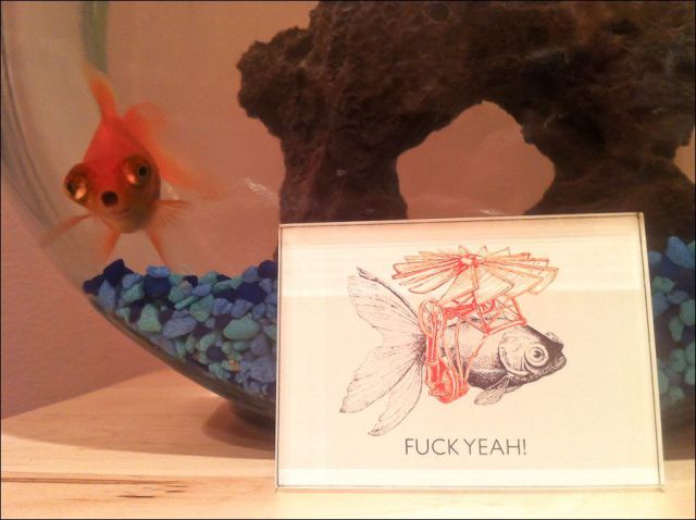 morning picdump 53 pics 27.html - 53 HD Photos | Premium Gallery 2012